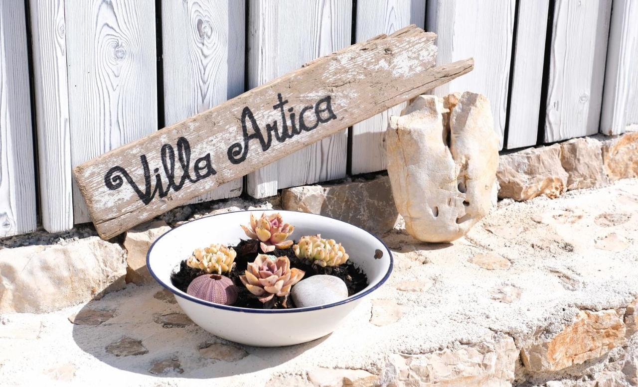 Camp Buqez 45 - Villa Artica 파코스탄 외부 사진